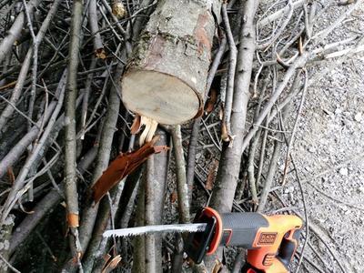 I got 2 cuts into this thick 7" before battery died as it took a long time and isn't meant for this thick wood. Chews through smaller branches no problem.