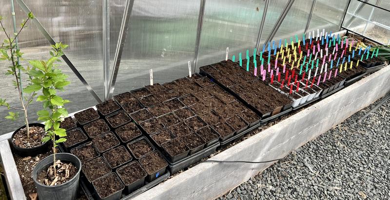 Photo - commentaire&nbsp;8.