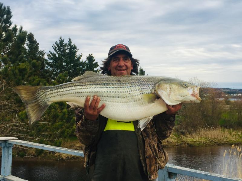 red wolf salmon spinning combo