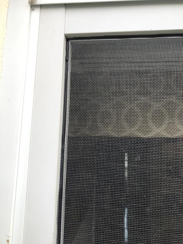 Photo - commentaire&nbsp;2.