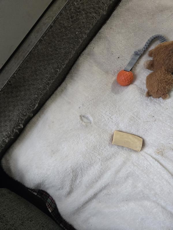 Photo - commentaire&nbsp;2.