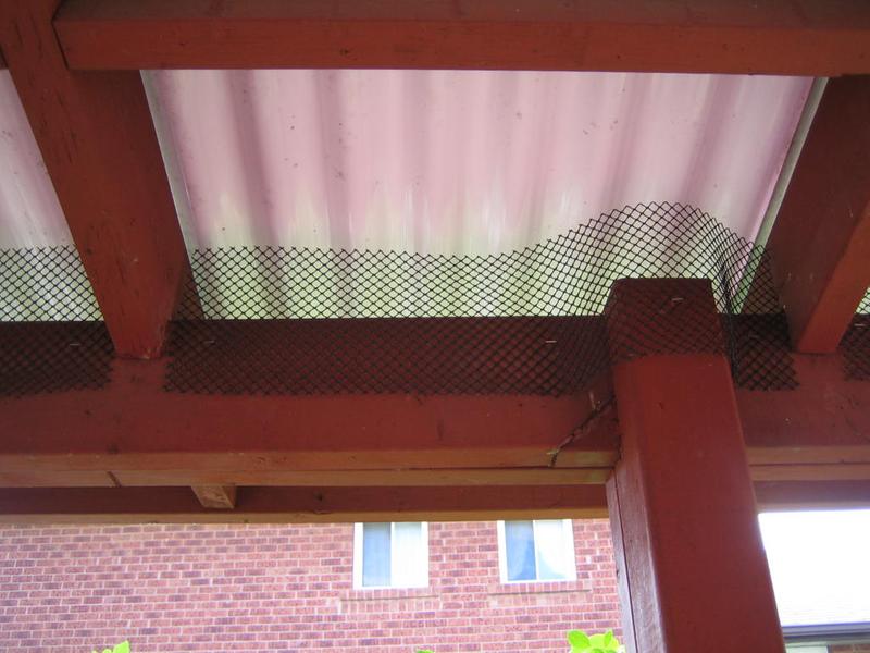 Stapled plastic mesh onto the deck roof, staple drove all the way in!
