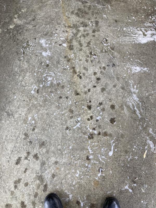 Photo - commentaire&nbsp;3.