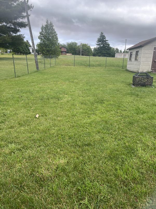 Photo - commentaire 1.