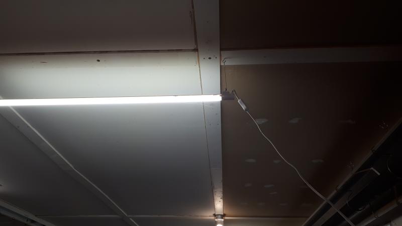 Switch placement is rather useless if you're less than 7 feet tall.