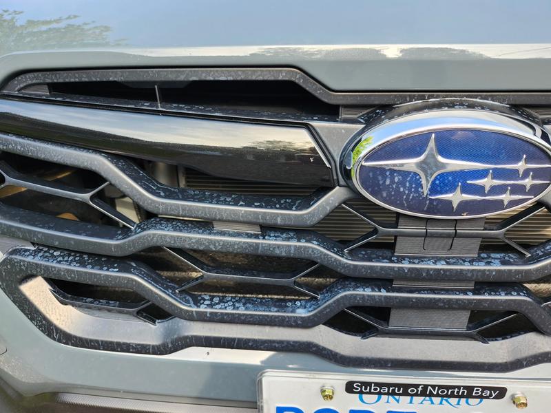 Photo - commentaire 7.