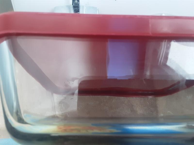 Photo - commentaire&nbsp;1.