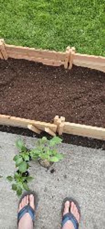 Photo - commentaire&nbsp;6.