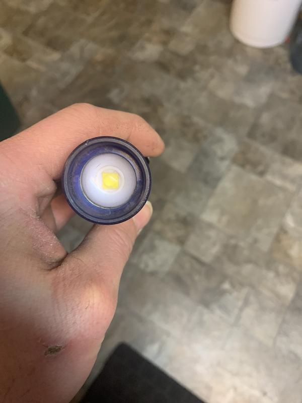 Photo - commentaire&nbsp;2.