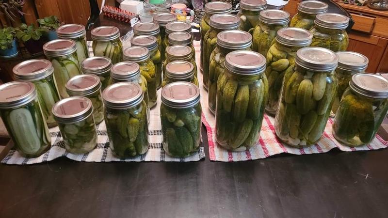 Photo - commentaire&nbsp;8.