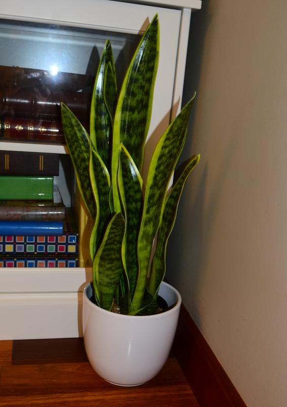 Photo - commentaire&nbsp;3.