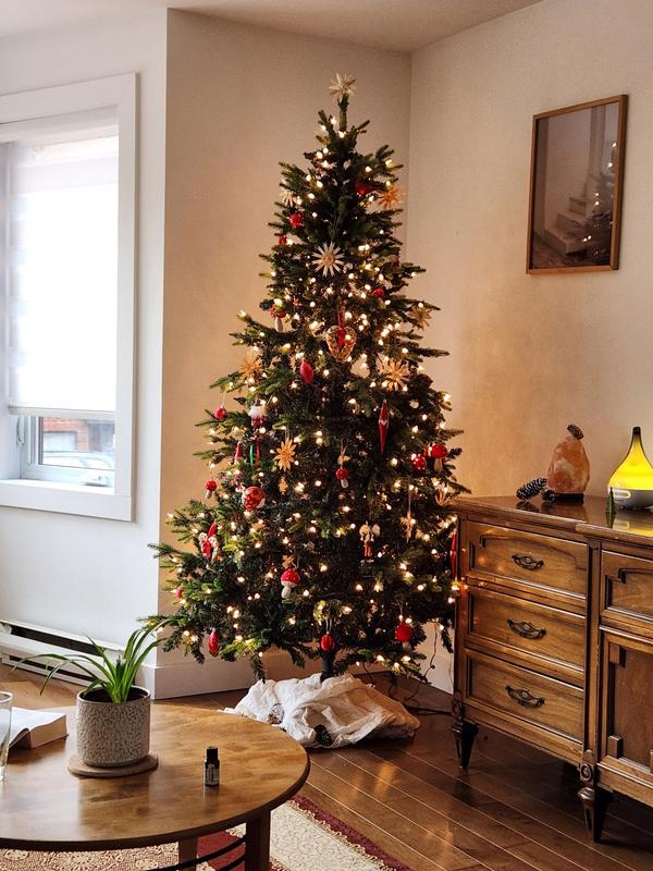 Photo - commentaire&nbsp;8.