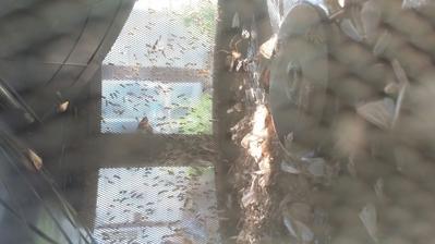 After the First Night