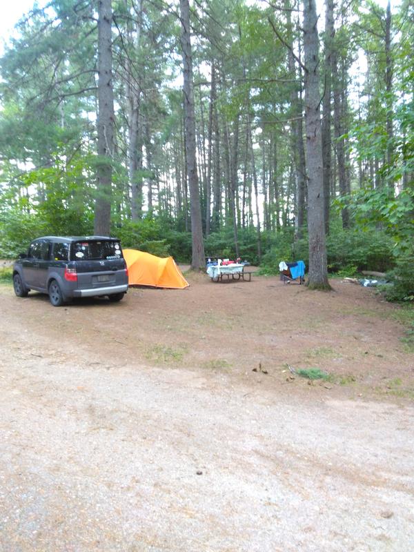 Second day in Algonquin :).