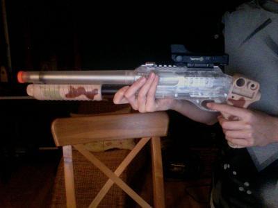 the shotgun, and also bought the 24.99 red dot sight