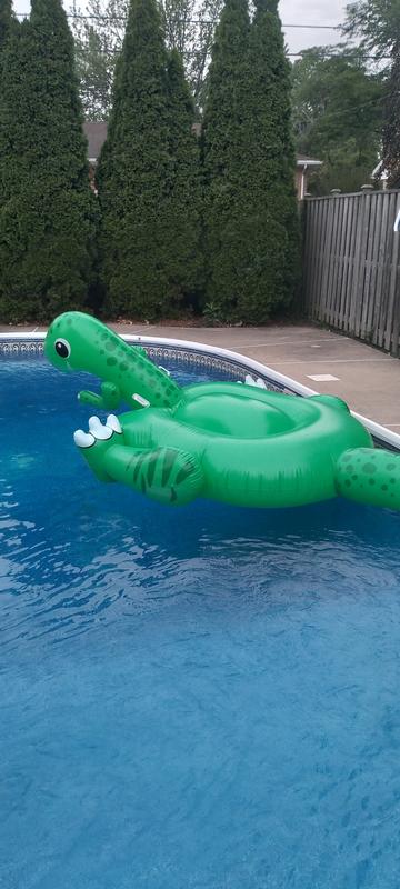 Dino