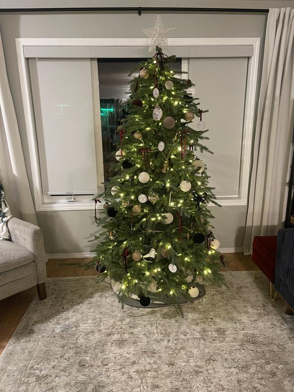 Photo - commentaire 8.