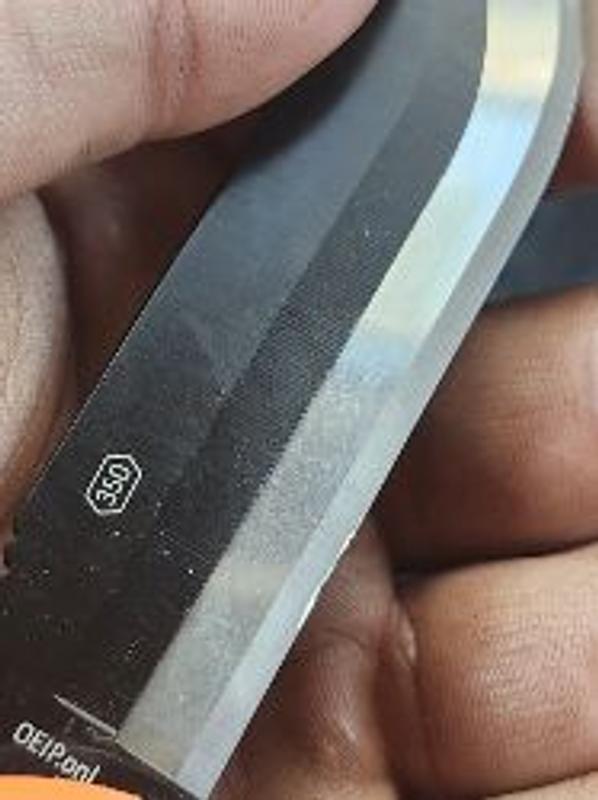 Photo - commentaire 2.