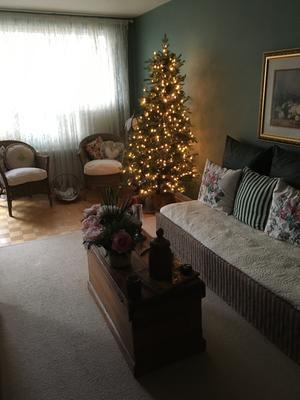 Review photo 7.