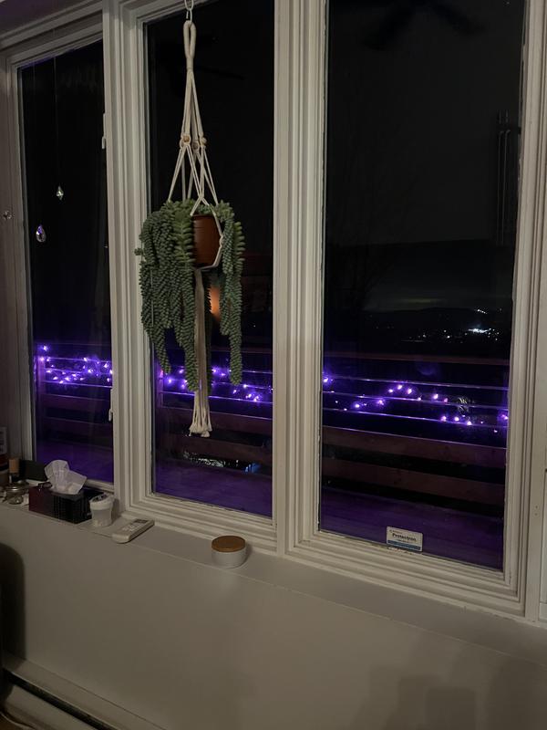 Lights when installed.