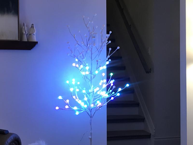 Photo - commentaire&nbsp;1.