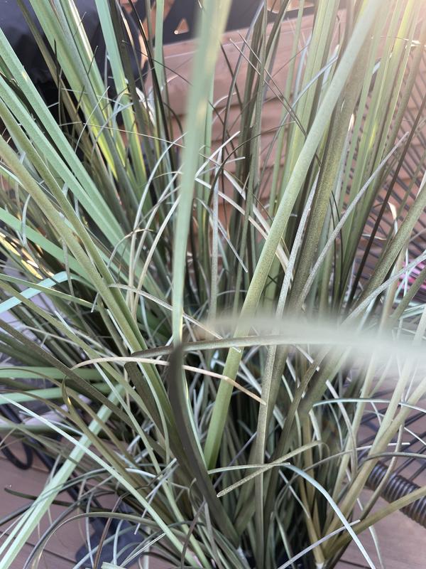 Photo - commentaire&nbsp;4.