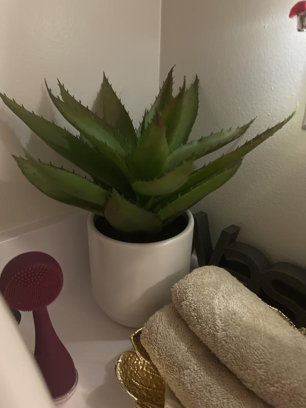 Photo - commentaire&nbsp;2.