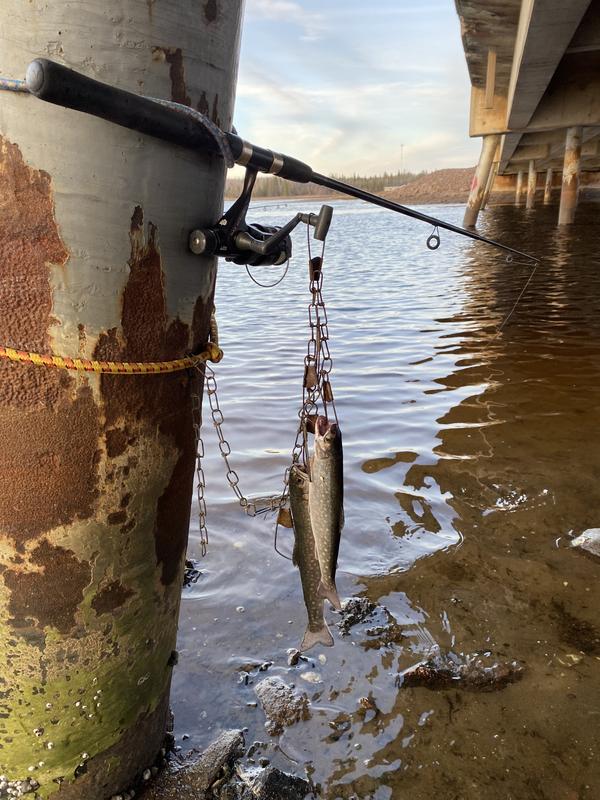 Photo - commentaire&nbsp;2.