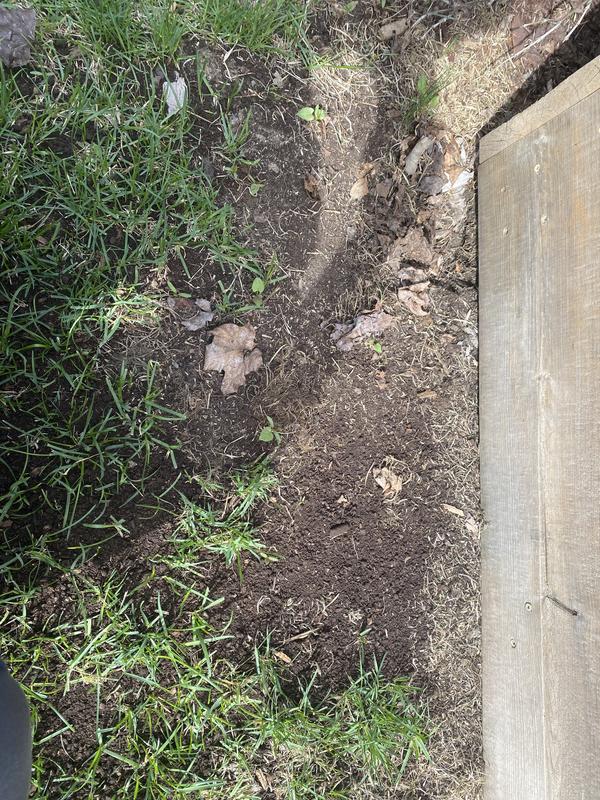 Control point of bare soil