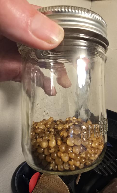 Photo - commentaire&nbsp;1.