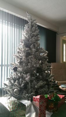 New Living Room Tree