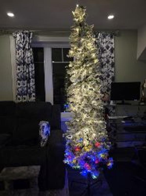 Photo - commentaire&nbsp;3.