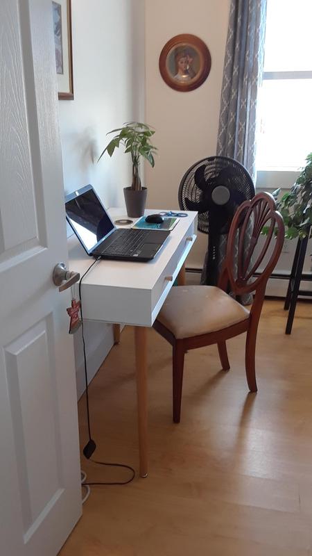 New desk in sunny location. What's not to like.