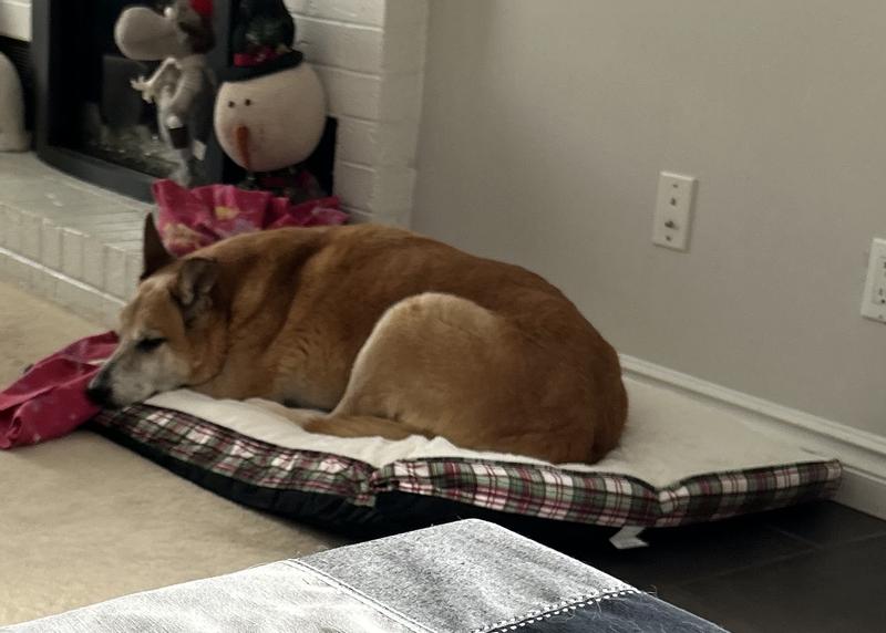 Photo - commentaire&nbsp;5.