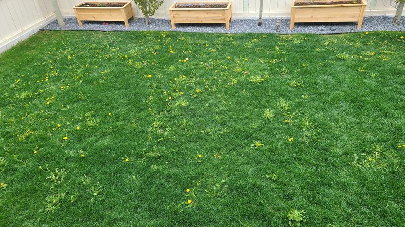 Photo - commentaire 2.