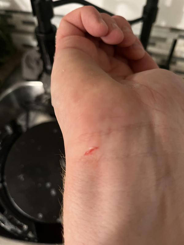 Photo - commentaire&nbsp;1.