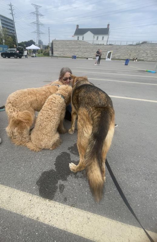 treat time for my furry friends
