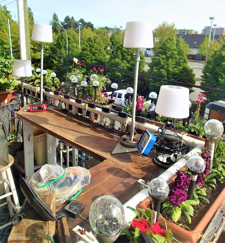 Photo - commentaire 5.