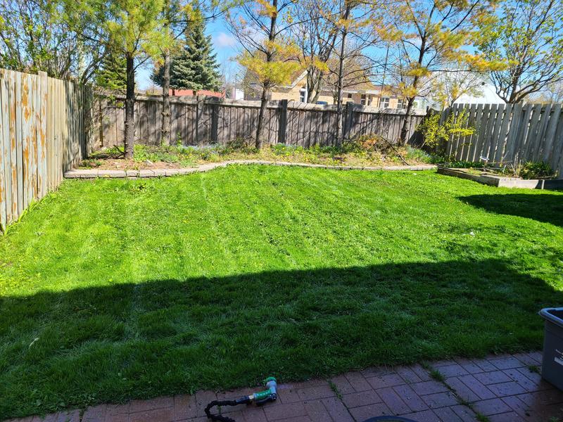 Photo - commentaire 5.