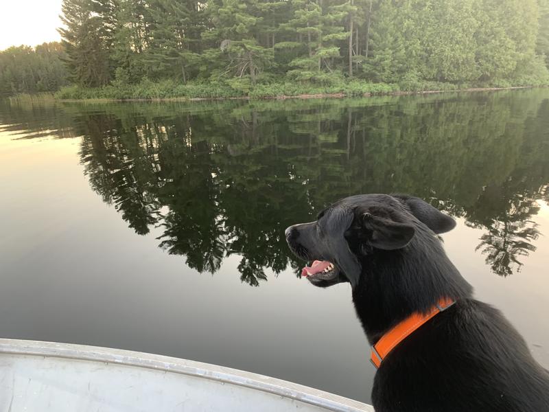 Photo - commentaire 4.