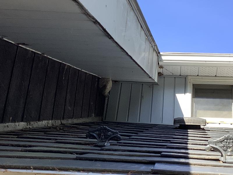 Photo - commentaire 5.