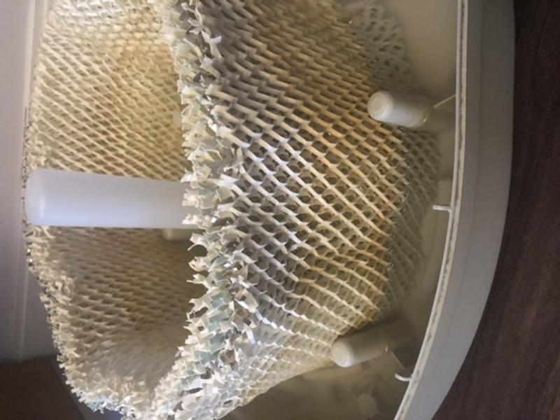 This is how the filter looked like after one week