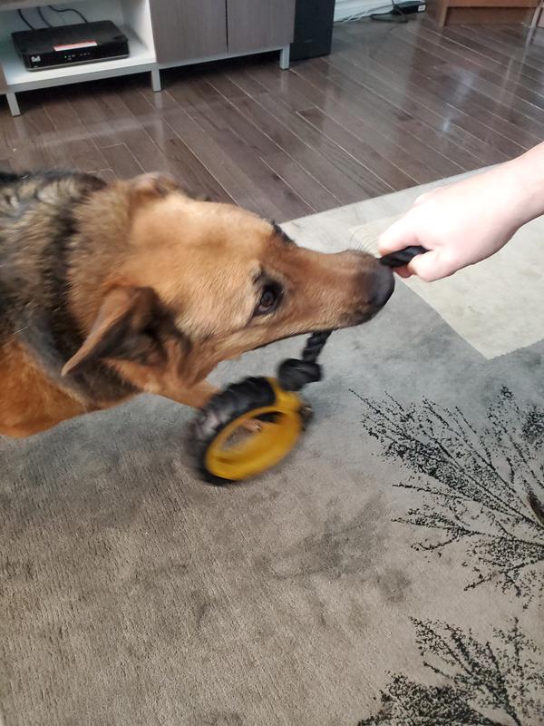 Photo - commentaire&nbsp;4.