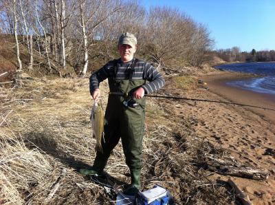 Shimano FX Spinning Reels