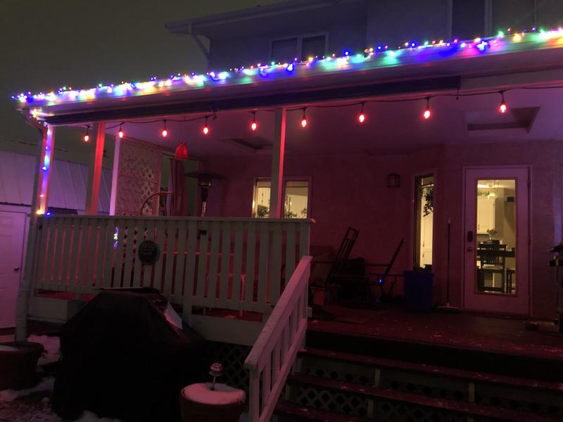 Left Side of the back