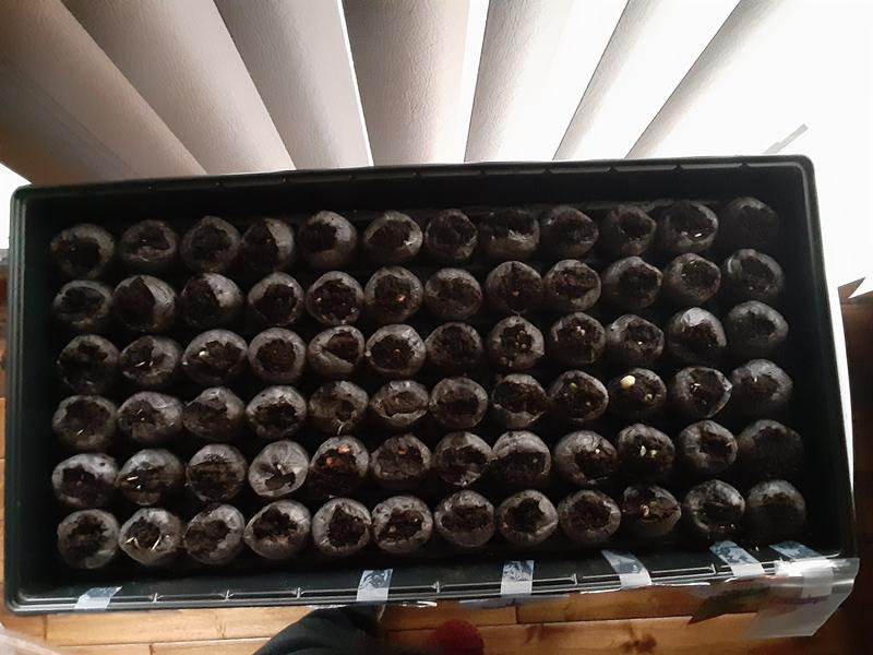 Photo - commentaire 4.