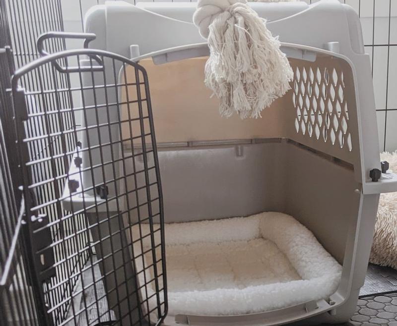 Photo - commentaire 5.