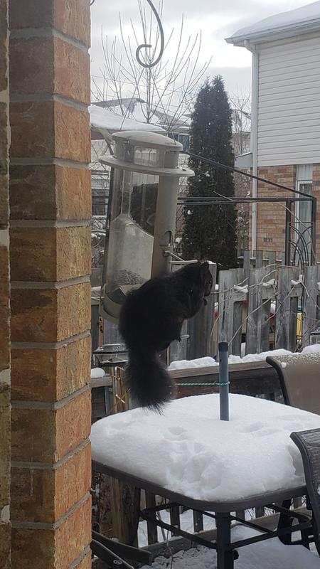 Photo - commentaire&nbsp;5.