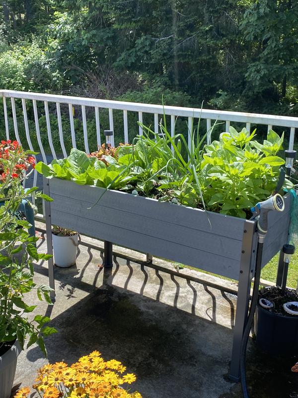 Canadian Tire Raised Garden Planter Fasci Garden