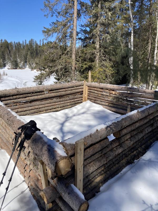 Used the poles on a snowshoe hike. I was giving them a rest. Lol
